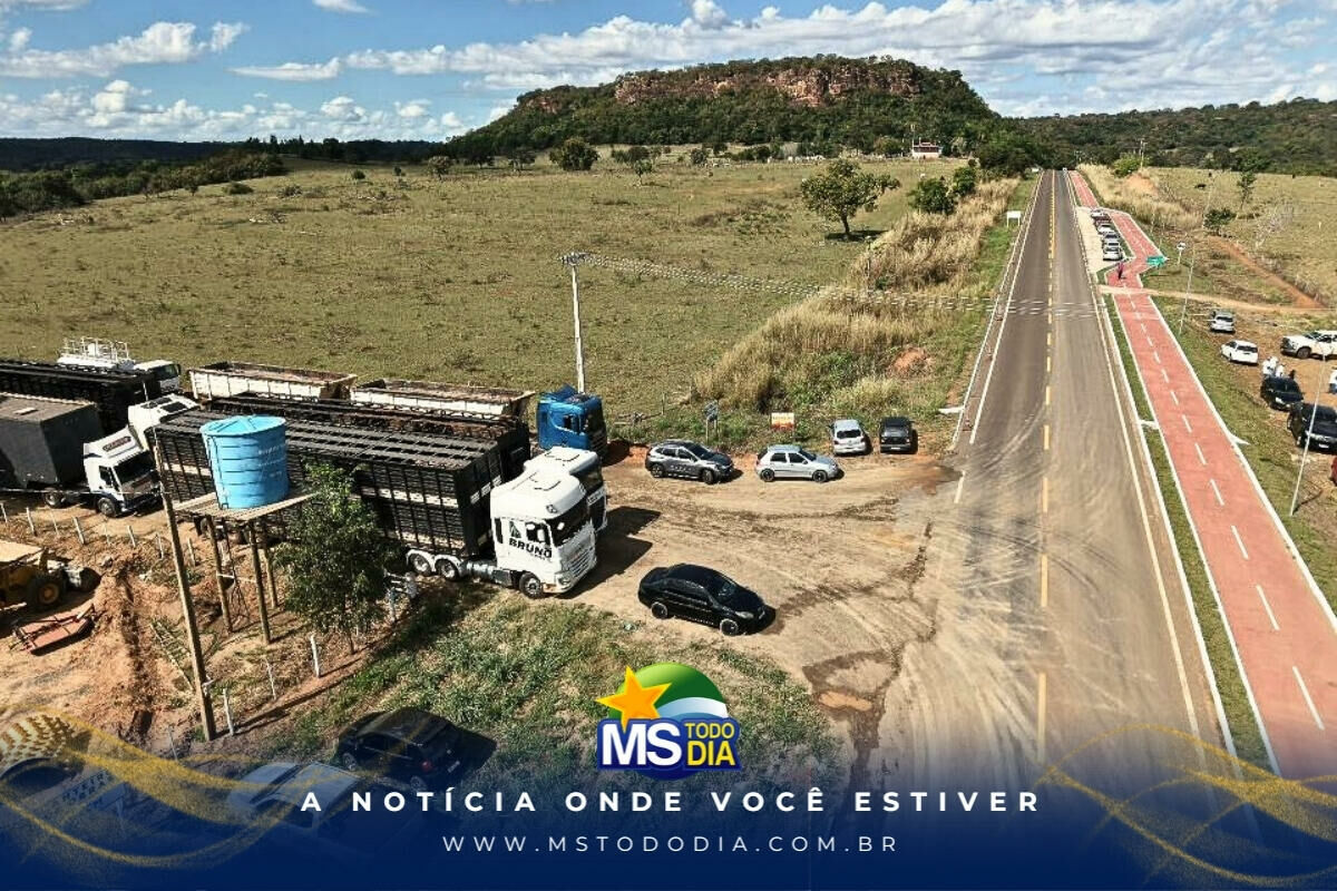 Imagem da Galeria